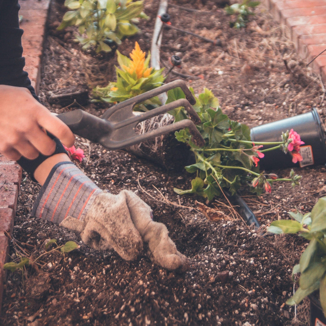 Toko Karangan Bunga di Bandung 