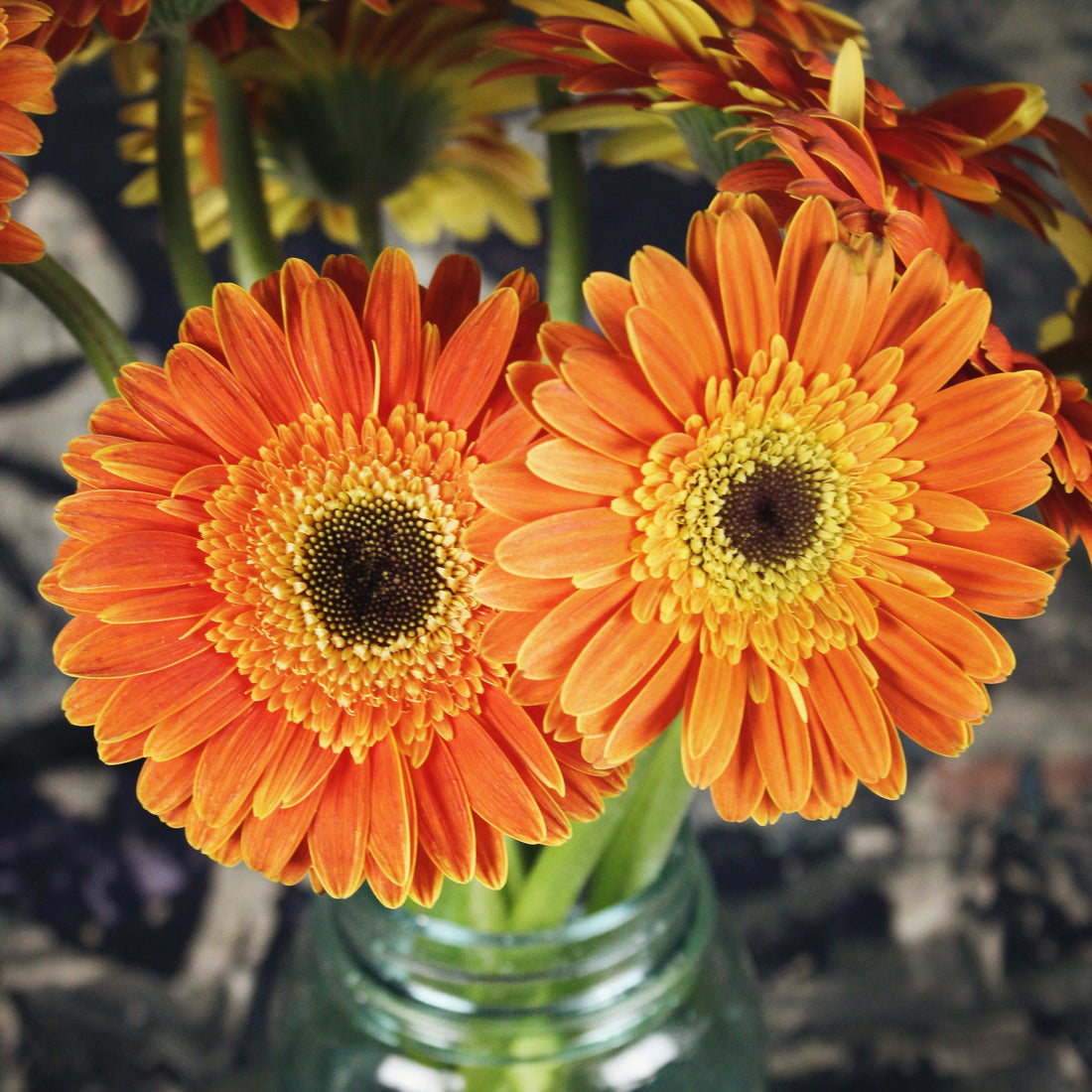 Toko Karangan Bunga di Bandung 