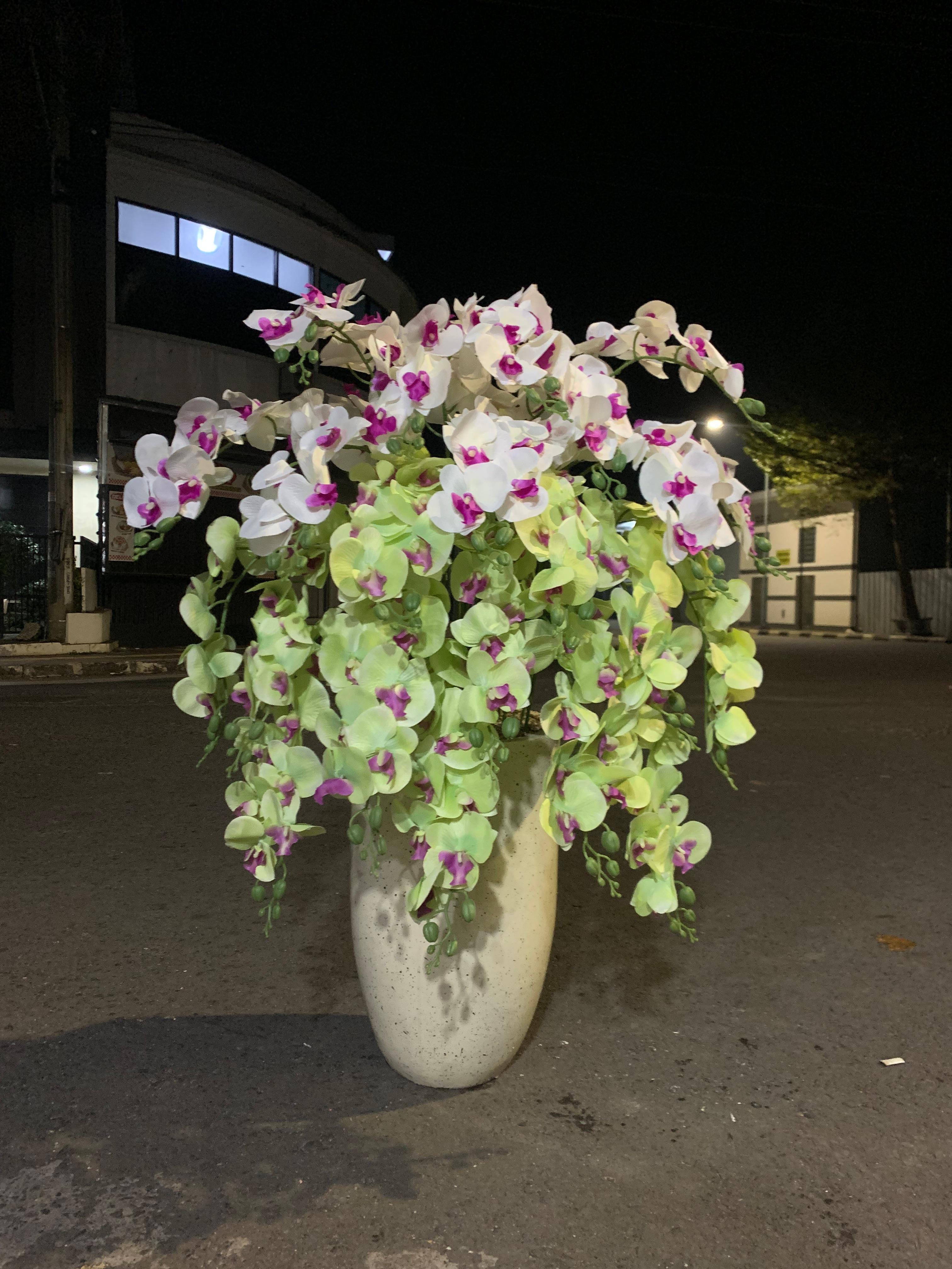 Toko Rangkaian Bunga Anggrek di Jakarta – Flowers Indonesia